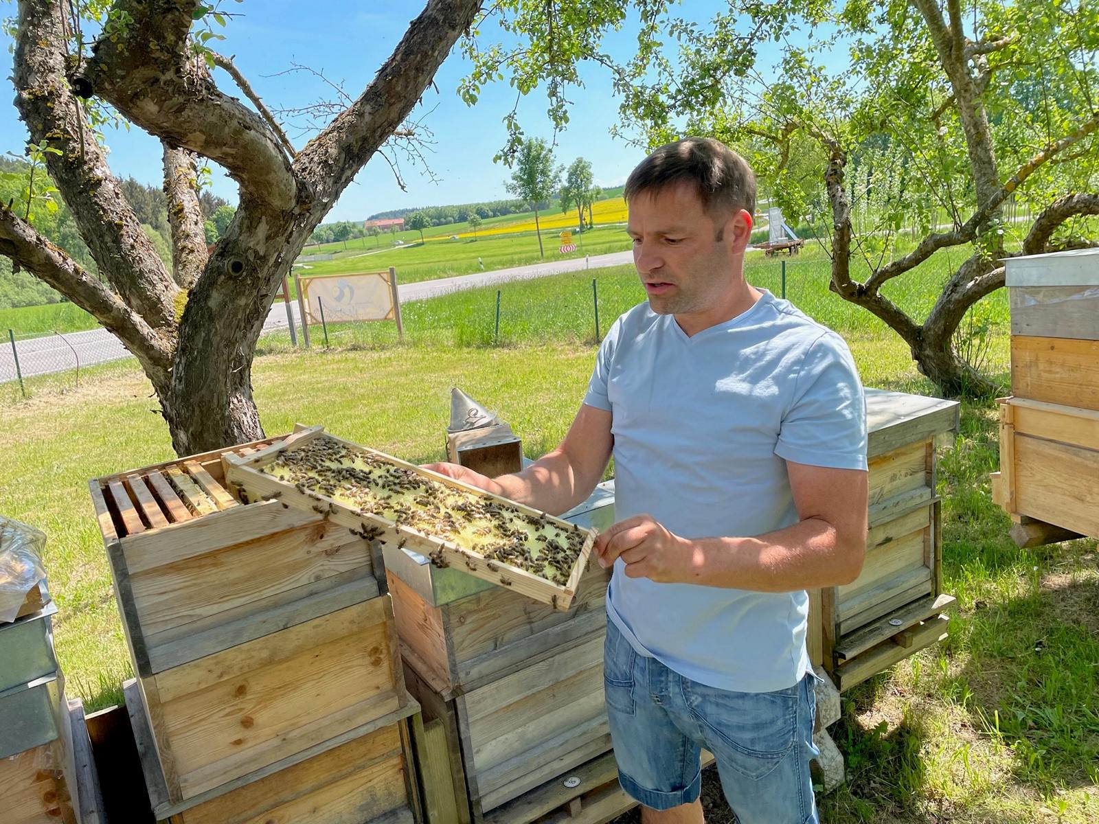 K1600_bienen2022_2.JPG